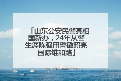 山东公安民警亮相国新办，24年从警生涯陈强用警徽照亮国际维和路