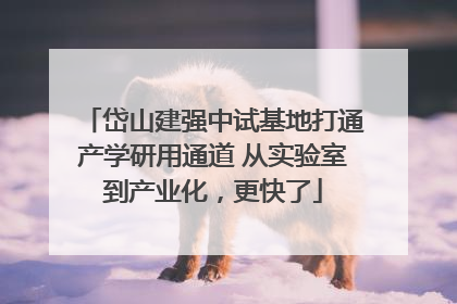 岱山建强中试基地打通产学研用通道 从实验室到产业化，更快了