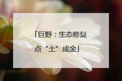 巨野：生态修复点“土”成金