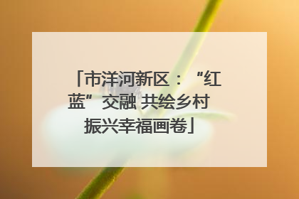 市洋河新区：“红蓝”交融 共绘乡村振兴幸福画卷