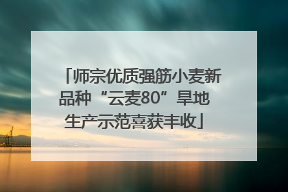 师宗优质强筋小麦新品种“云麦80”旱地生产示范喜获丰收