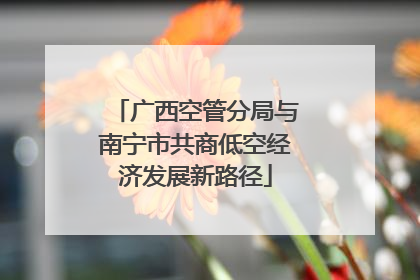 广西空管分局与南宁市共商低空经济发展新路径