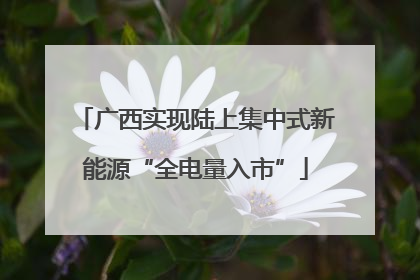 广西实现陆上集中式新能源“全电量入市”