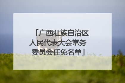 广西壮族自治区人民代表大会常务委员会任免名单