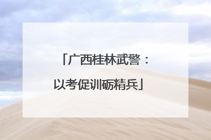 广西桂林武警：以考促训砺精兵