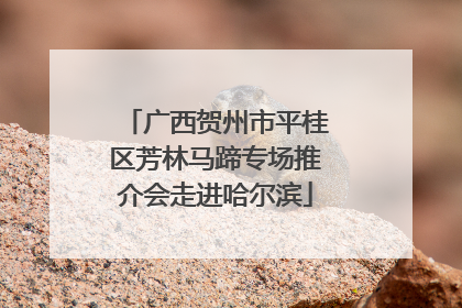广西贺州市平桂区芳林马蹄专场推介会走进哈尔滨