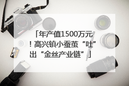 年产值1500万元！高兴镇小蚕茧“吐”出“金丝产业链”