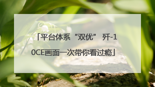 平台体系“双优” 歼-10CE画面一次带你看过瘾