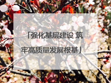 强化基层建设 筑牢高质量发展根基