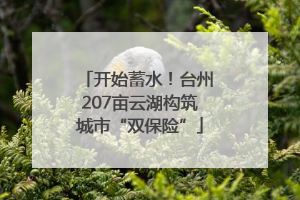 开始蓄水！台州207亩云湖构筑城市“双保险”