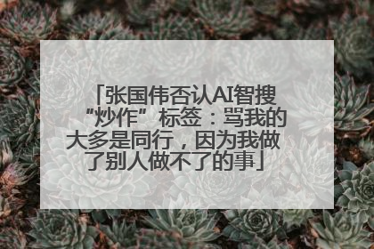 张国伟否认AI智搜“炒作”标签：骂我的大多是同行，因为我做了别人做不了的事