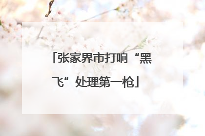 张家界市打响“黑飞”处理第一枪