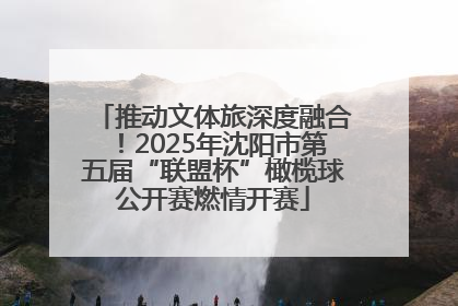 推动文体旅深度融合！2025年沈阳市第五届“联盟杯”橄榄球公开赛燃情开赛
