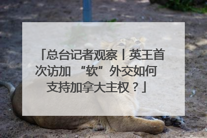 总台记者观察丨英王首次访加 “软”外交如何支持加拿大主权？
