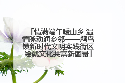 情满端午暖山乡 温情脉动润乡邻——鸬鸟镇新时代文明实践街区绘就文化共富新图景