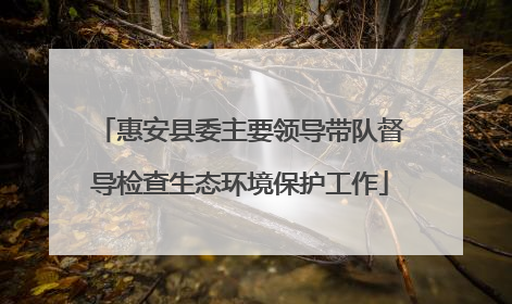 惠安县委主要领导带队督导检查生态环境保护工作