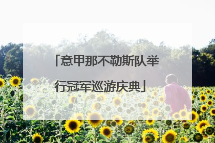 意甲那不勒斯队举行冠军巡游庆典