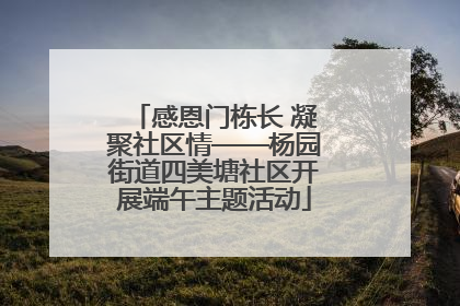 感恩门栋长 凝聚社区情——杨园街道四美塘社区开展端午主题活动