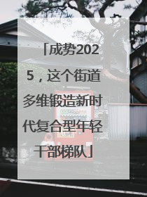 成势2025，这个街道多维锻造新时代复合型年轻干部梯队