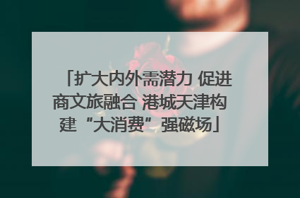 扩大内外需潜力 促进商文旅融合 港城天津构建“大消费”强磁场
