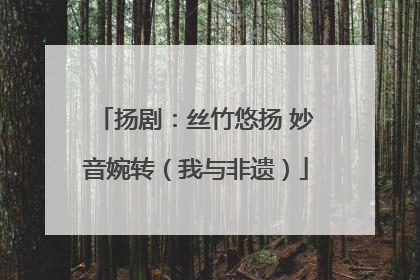 扬剧：丝竹悠扬 妙音婉转（我与非遗）