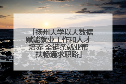 扬州大学以大数据赋能就业工作和人才培养 全链条就业帮扶畅通求职路