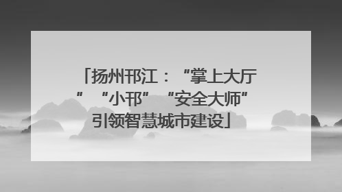 扬州邗江：“掌上大厅”“小邗”“安全大师”引领智慧城市建设