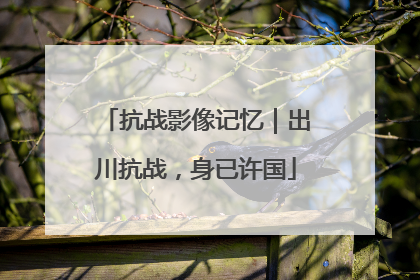 抗战影像记忆｜出川抗战，身已许国