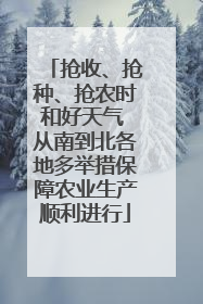 抢收、抢种、抢农时和好天气 从南到北各地多举措保障农业生产顺利进行