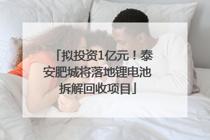 拟投资1亿元！泰安肥城将落地锂电池拆解回收项目