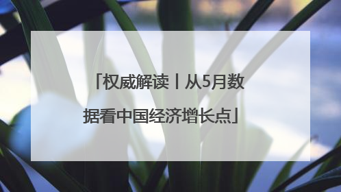 权威解读丨从5月数据看中国经济增长点