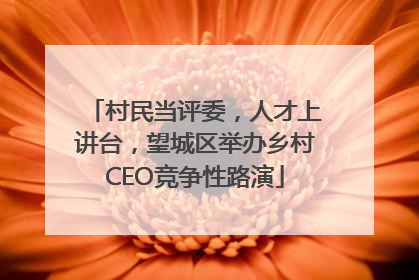 村民当评委，人才上讲台，望城区举办乡村CEO竞争性路演
