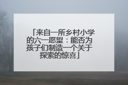 来自一所乡村小学的六一愿望：能否为孩子们制造一个关于探索的惊喜