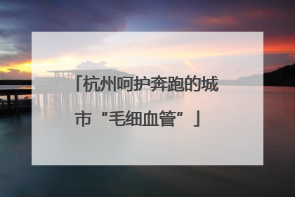 杭州呵护奔跑的城市“毛细血管”