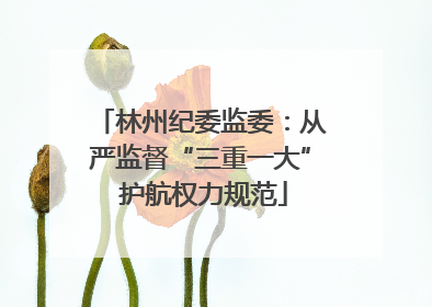 林州纪委监委：从严监督“三重一大” 护航权力规范