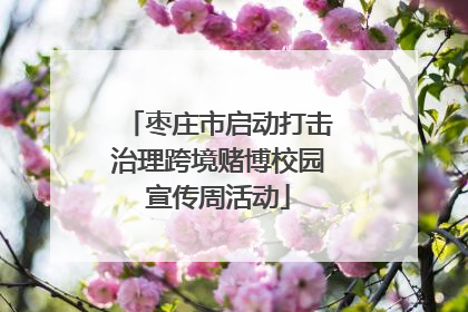 枣庄市启动打击治理跨境赌博校园宣传周活动
