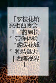 攀枝花馆亮相西博会！“豹局长”带你体验“暖暖花城”独特魅力｜西博视界