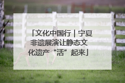 文化中国行｜宁夏 非遗展演让静态文化遗产“活”起来
