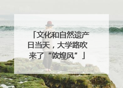 文化和自然遗产日当天，大学路吹来了“敦煌风”