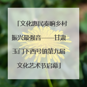 文化惠民奏响乡村振兴最强音——甘肃玉门下西号镇第九届文化艺术节启幕