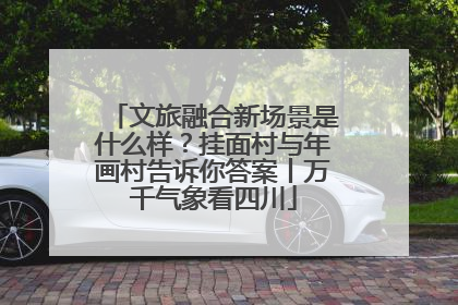 文旅融合新场景是什么样？挂面村与年画村告诉你答案丨万千气象看四川