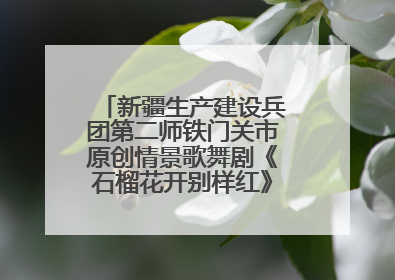 新疆生产建设兵团第二师铁门关市原创情景歌舞剧《石榴花开别样红》将来河北巡演