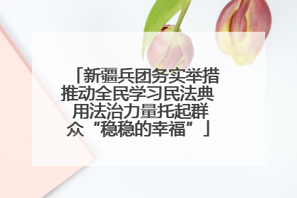 新疆兵团务实举措推动全民学习民法典 用法治力量托起群众“稳稳的幸福”