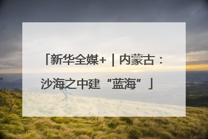 新华全媒+｜内蒙古：沙海之中建“蓝海”