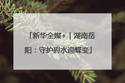 新华全媒+｜湖南岳阳：守护碧水迎蝶变
