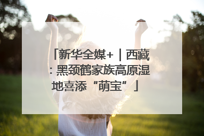 新华全媒+｜西藏：黑颈鹤家族高原湿地喜添“萌宝”