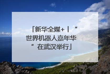 新华全媒+丨“世界机器人嘉年华”在武汉举行