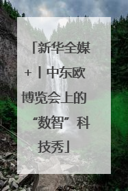 新华全媒+丨中东欧博览会上的“数智”科技秀