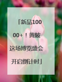 新品10000+！黄陂这场博览盛会开启倒计时
