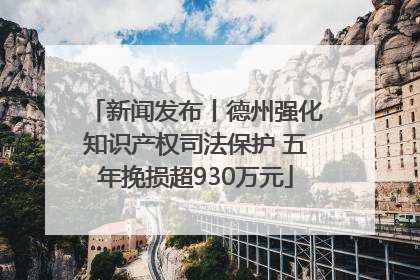 新闻发布丨德州强化知识产权司法保护 五年挽损超930万元